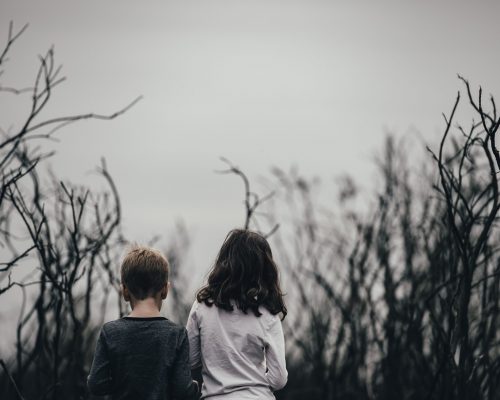 Photo by Annie Spratt on Unsplash (4) Photo by Annie Spratt on Unsplash (4)