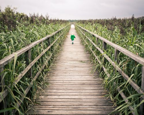Photo by Timon Studler on Unsplash Photo by Timon Studler on Unsplash
